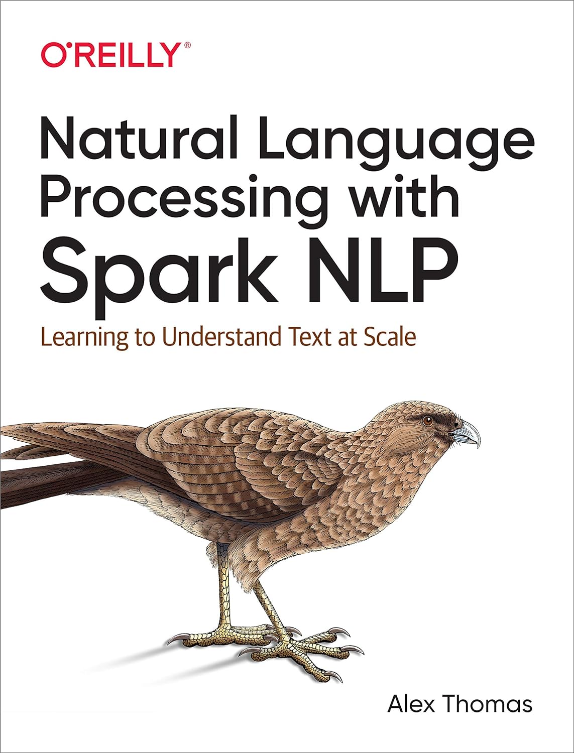 Natural Language Processing with Spark NLP