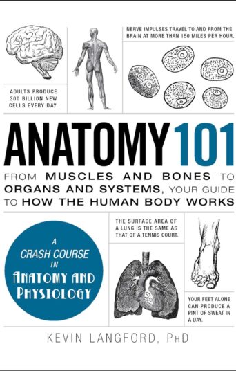 Anatomy 101