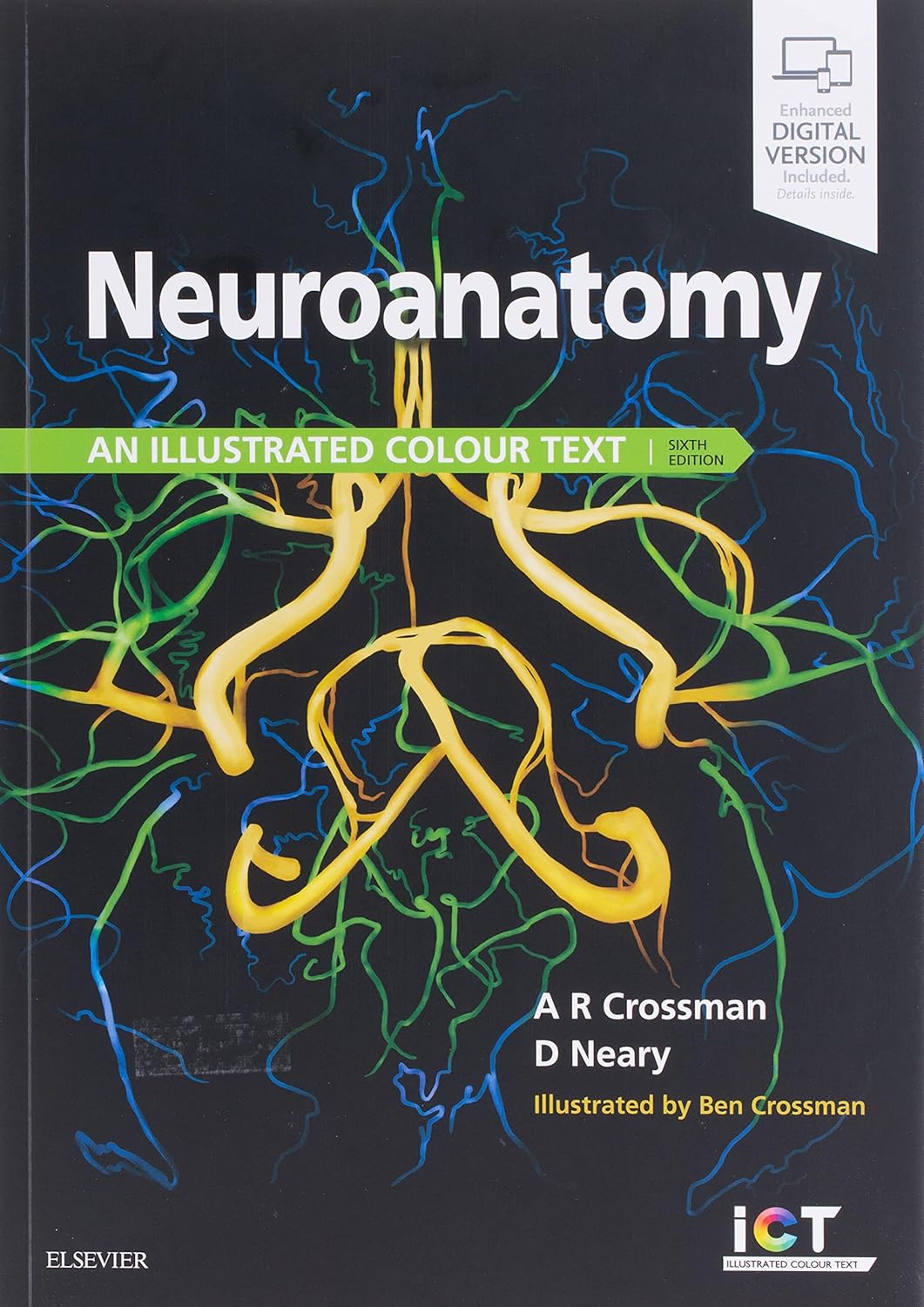 Neuroanatomy: an Illustrated Colour Text 6th Edition